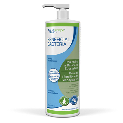 Beneficial Bacteria for Ponds (Liquid) - 32 oz